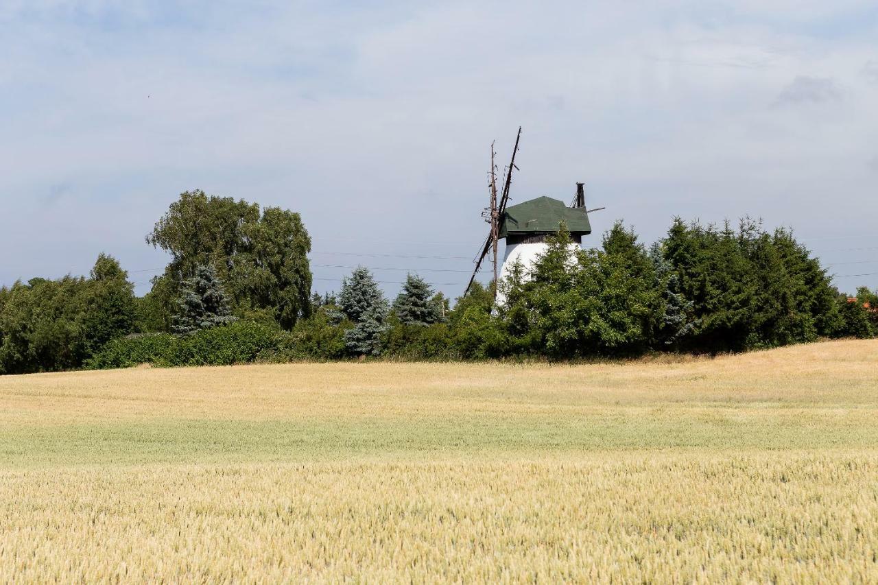 Windmill Vacation Home In Ledzin Near Baltic Sea Niechorze Exteriér fotografie