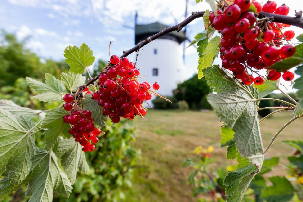 Windmill Vacation Home In Ledzin Near Baltic Sea Niechorze Exteriér fotografie