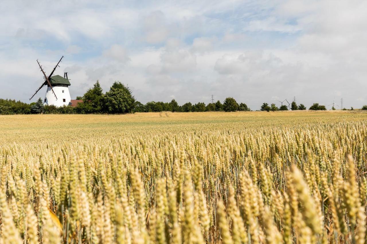 Windmill Vacation Home In Ledzin Near Baltic Sea Niechorze Exteriér fotografie